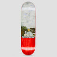 Load image into Gallery viewer, Fucking Awesome 8.44 Aidan No World Order Skateboard Deck Multi