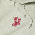 Load image into Gallery viewer, HUF Megablast Embroidered Hood Ash