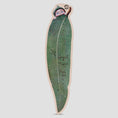 Load image into Gallery viewer, Passport x May Gibbs 8.0 Gum Leaf Cruiser Skateboard Deck