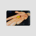 Load image into Gallery viewer, Polar Magnet Frog Multi