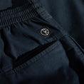 Load image into Gallery viewer, Polar Surf Shorts New Navy