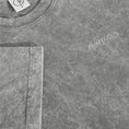Load image into Gallery viewer, Polar Acid Surf Logo T-Shirt Grey