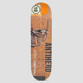 Load image into Gallery viewer, Anti Hero 8.5 Chapman Intermodal Skateboard Deck Multi