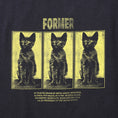 Load image into Gallery viewer, Former Vet T-Shirt Washed Black
