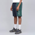 Load image into Gallery viewer, Butter Goods Quarter Nylon Shorts Navy / Forest
