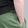 Load image into Gallery viewer, Polar Surf Pants Sage