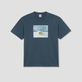 Load image into Gallery viewer, Polar Dead Flowers T-Shirt Grey Blue
