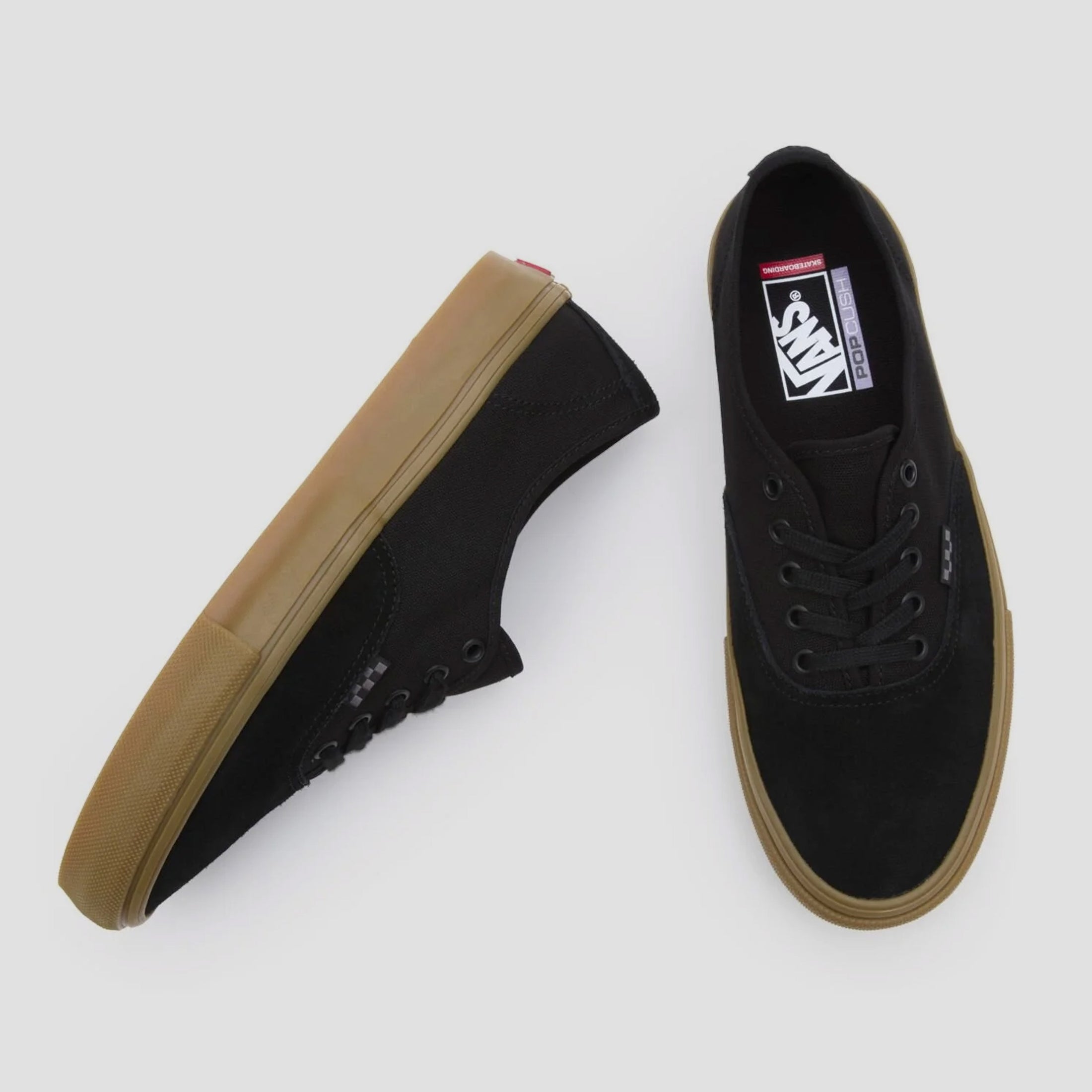 Vans Skate Authentic Skate Shoes Black / Black