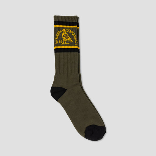 Anti Hero Clubhouse Sock Olive Gold Black