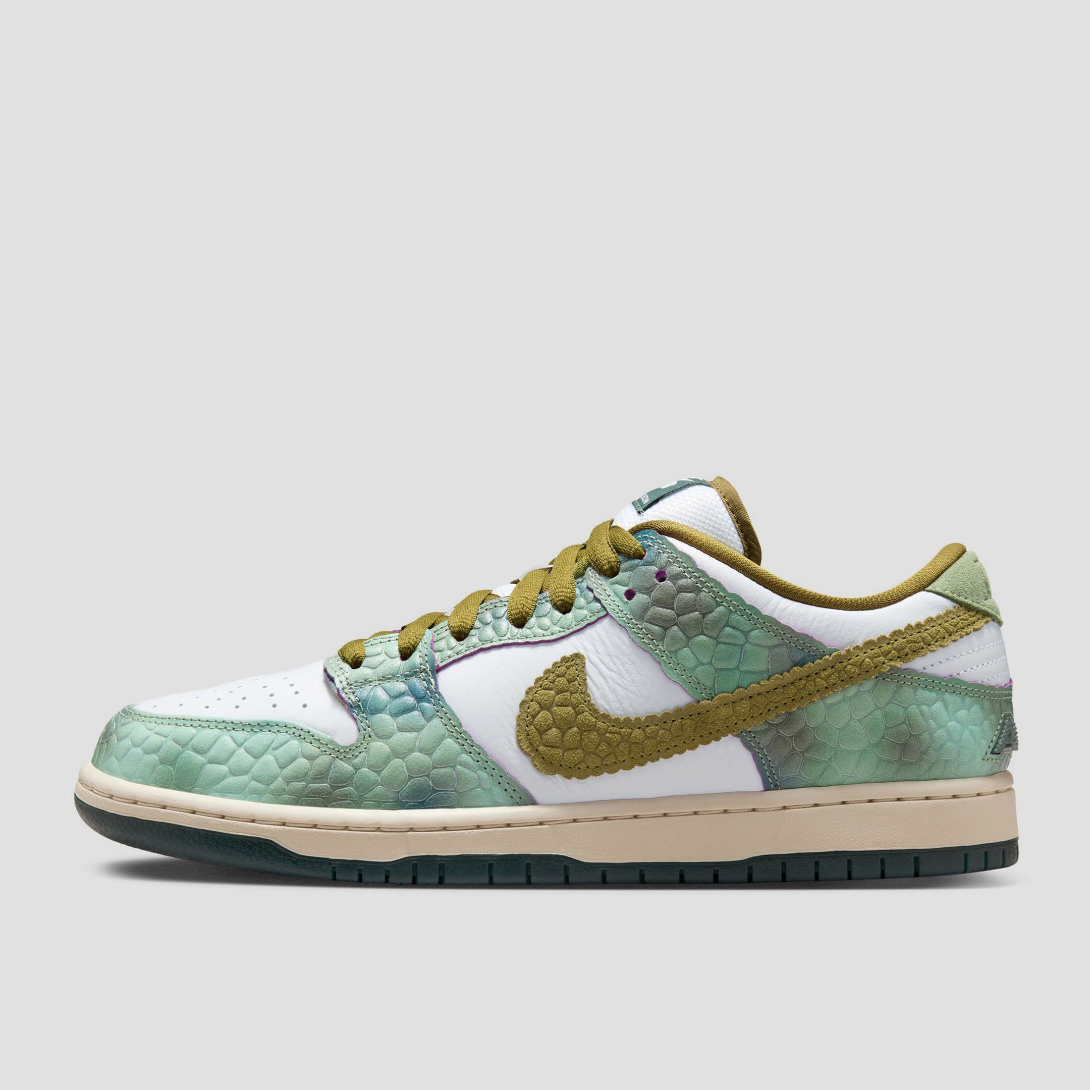Bhaderwah Campus Street Hawker Dunk Low Raffle Nike SB Dunk Low