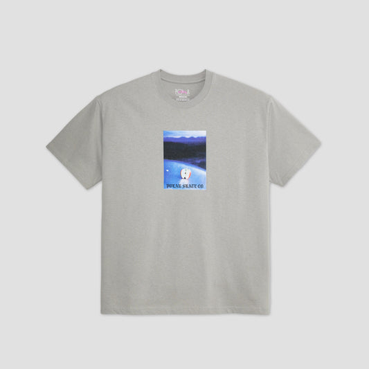 Polar Core T-Shirt Silver