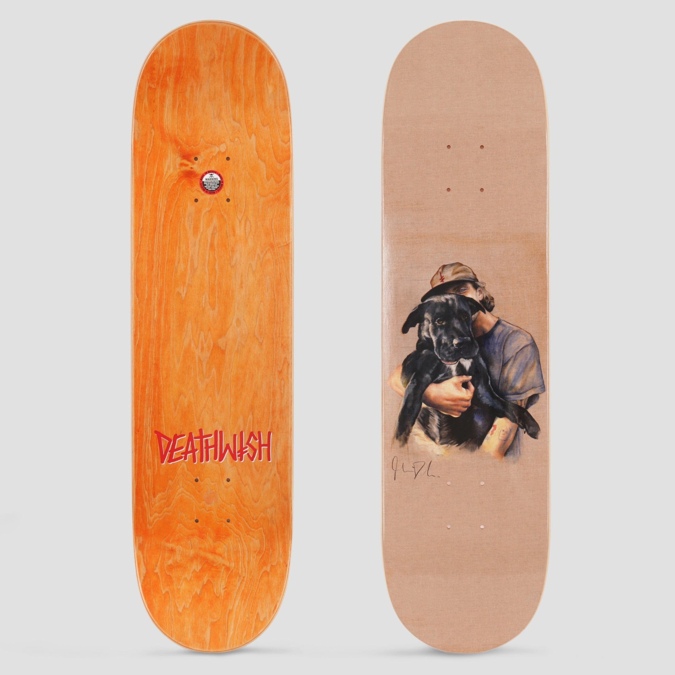Deathwish 8.25 Julian Davidson Travels with Luna Skateboard Deck