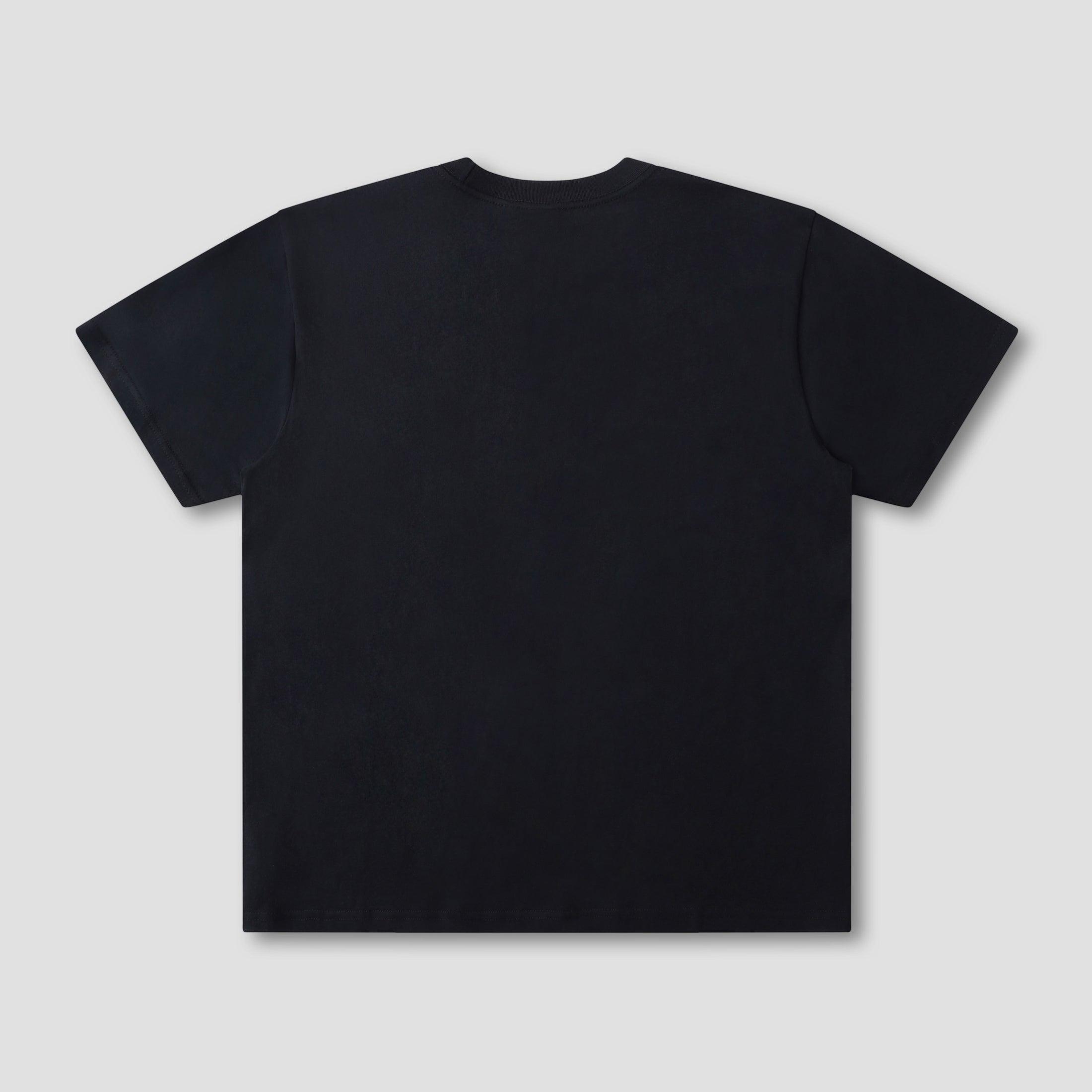 Former Shunning T-Shirt Washed Black