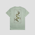 Load image into Gallery viewer, PassPort Lantana T-Shirt Stonewash Green
