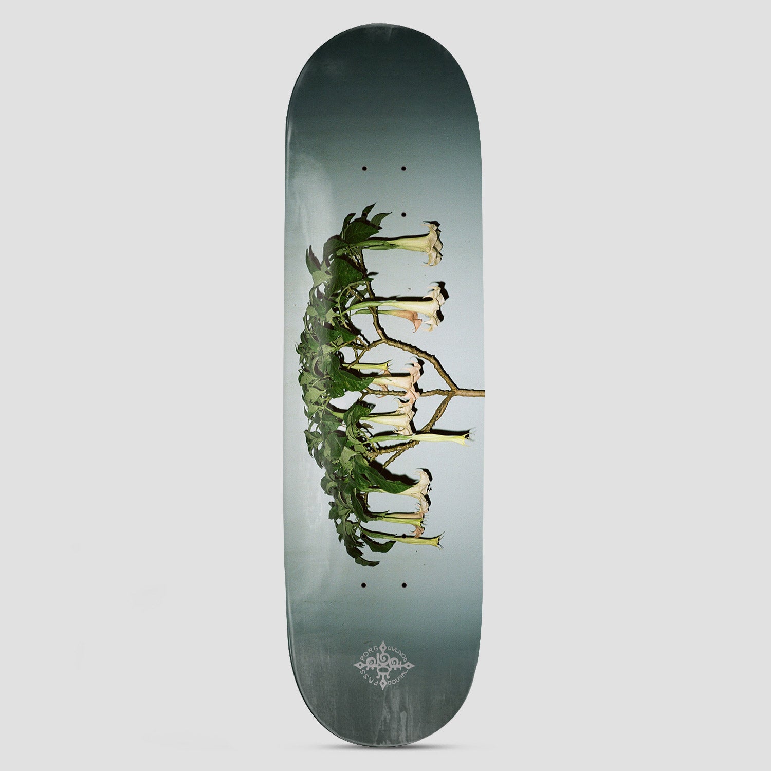 Passport 8.125 D.G Series Angel Trumpets Skateboard Deck