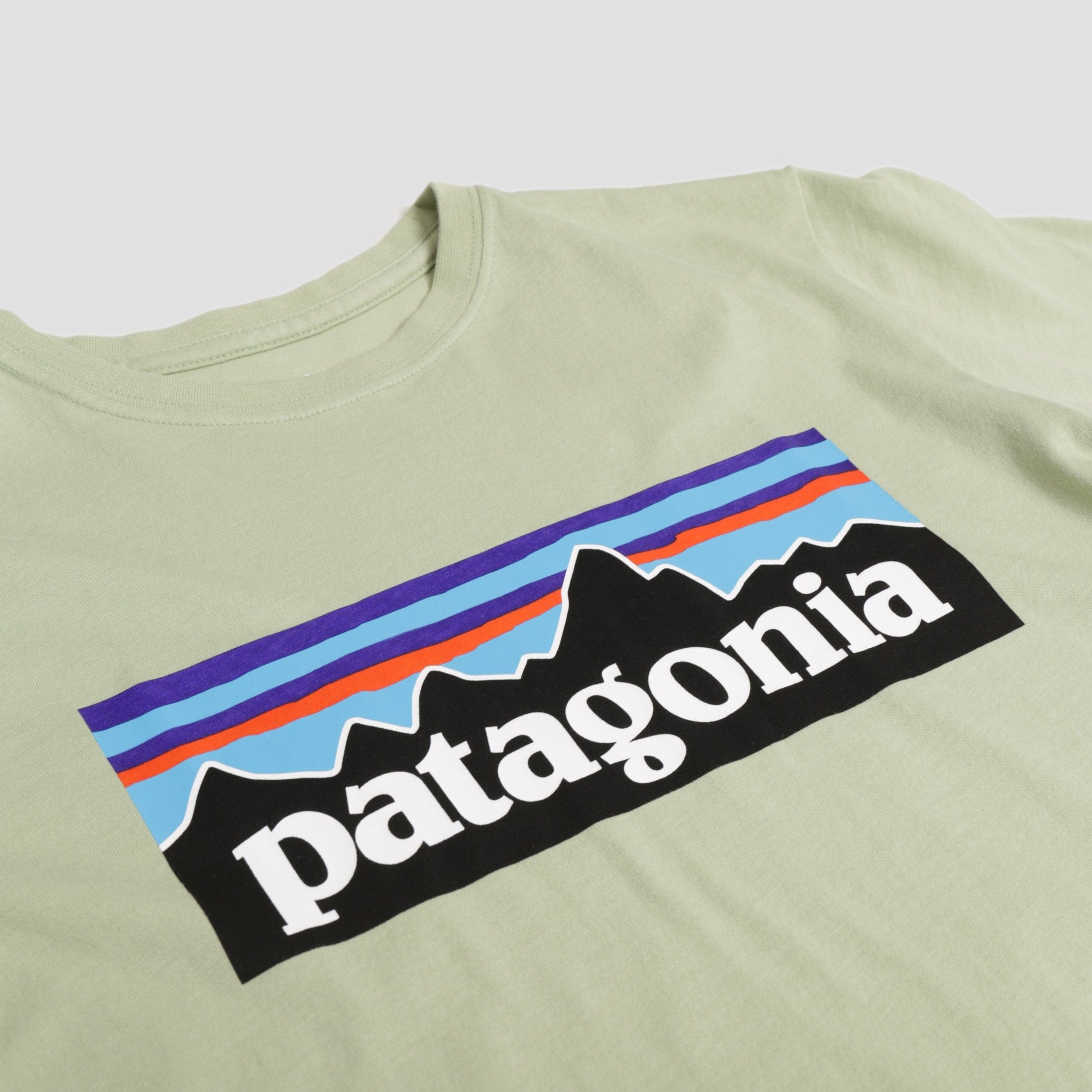 Patagonia Kids Regenerative Organic Certified Cotton P-6 Logo T-Shirt Salvia Green