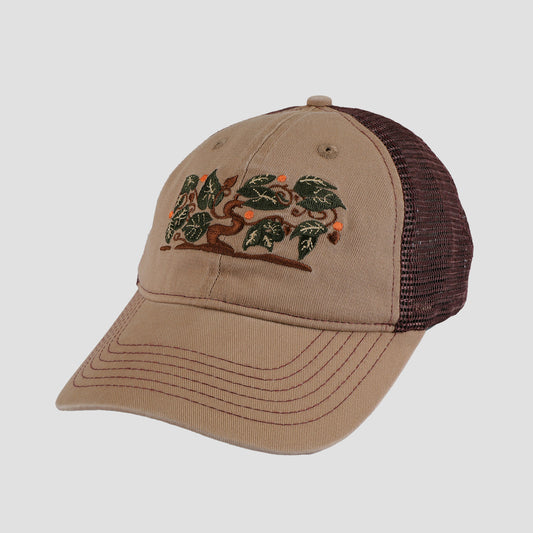 Passport Orchard Leagues Trucker Sand