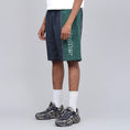 Load image into Gallery viewer, Butter Goods Quarter Nylon Shorts Navy / Forest
