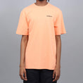 Load image into Gallery viewer, Patagonia Fitz Roy Horizons Responsibili T-Shirt Peach Sherbet
