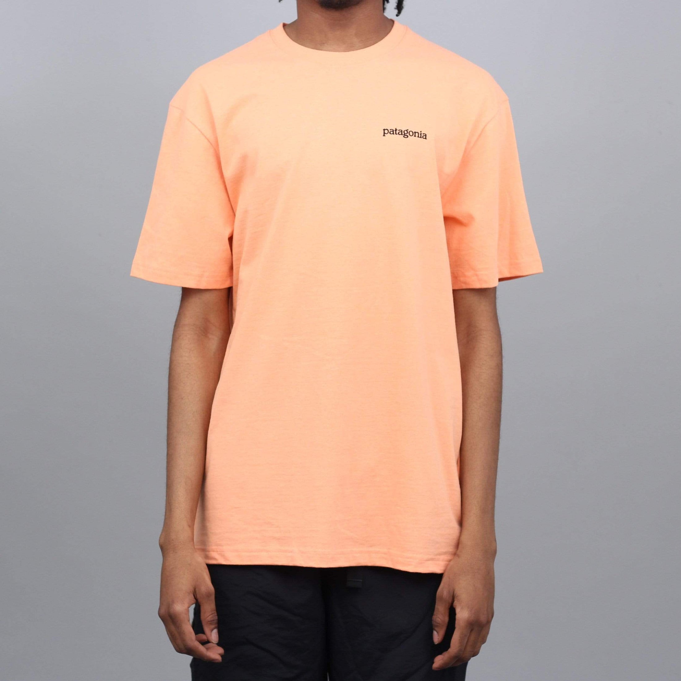 Patagonia Fitz Roy Horizons Responsibili T-Shirt Peach Sherbet
