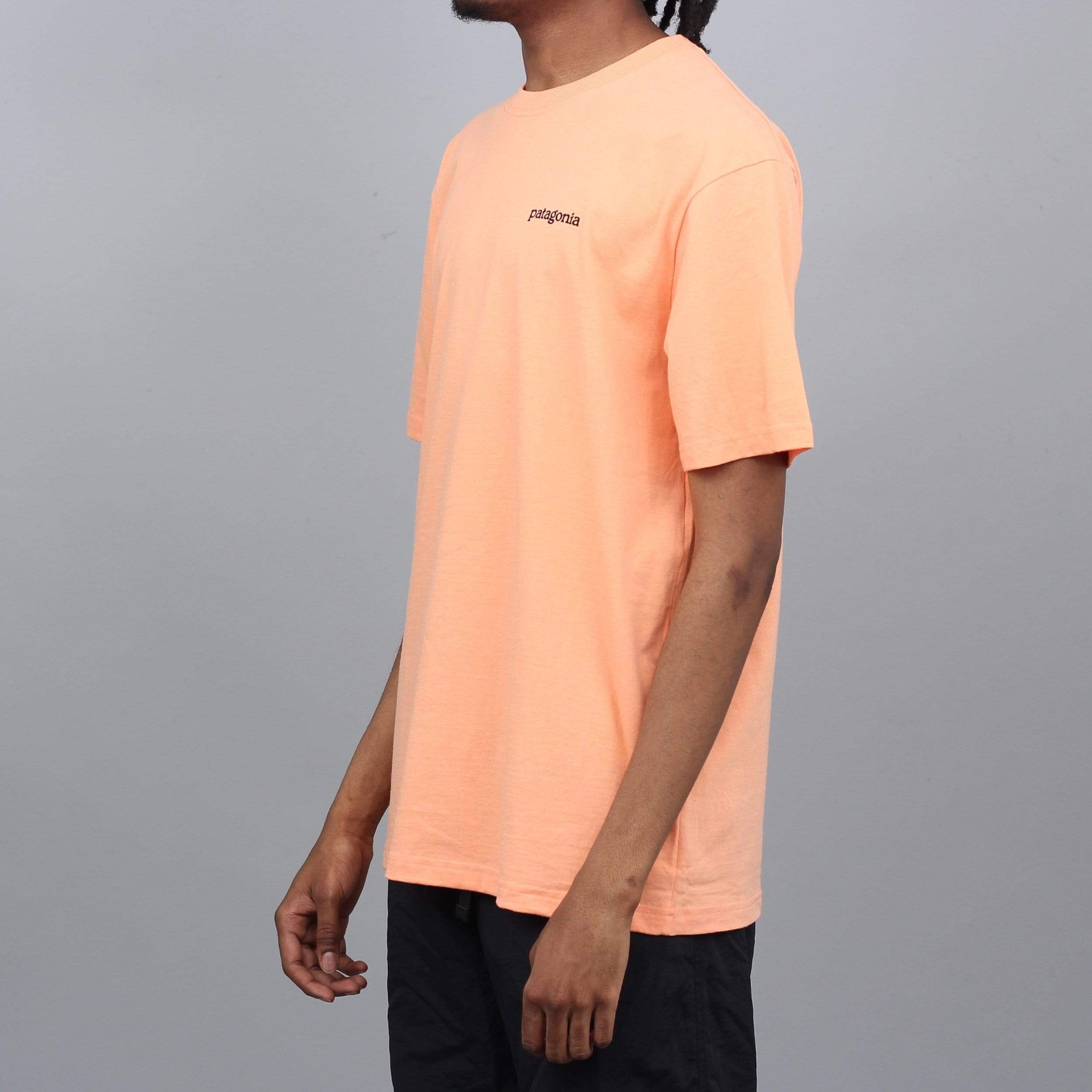 Patagonia Fitz Roy Horizons Responsibili T-Shirt Peach Sherbet