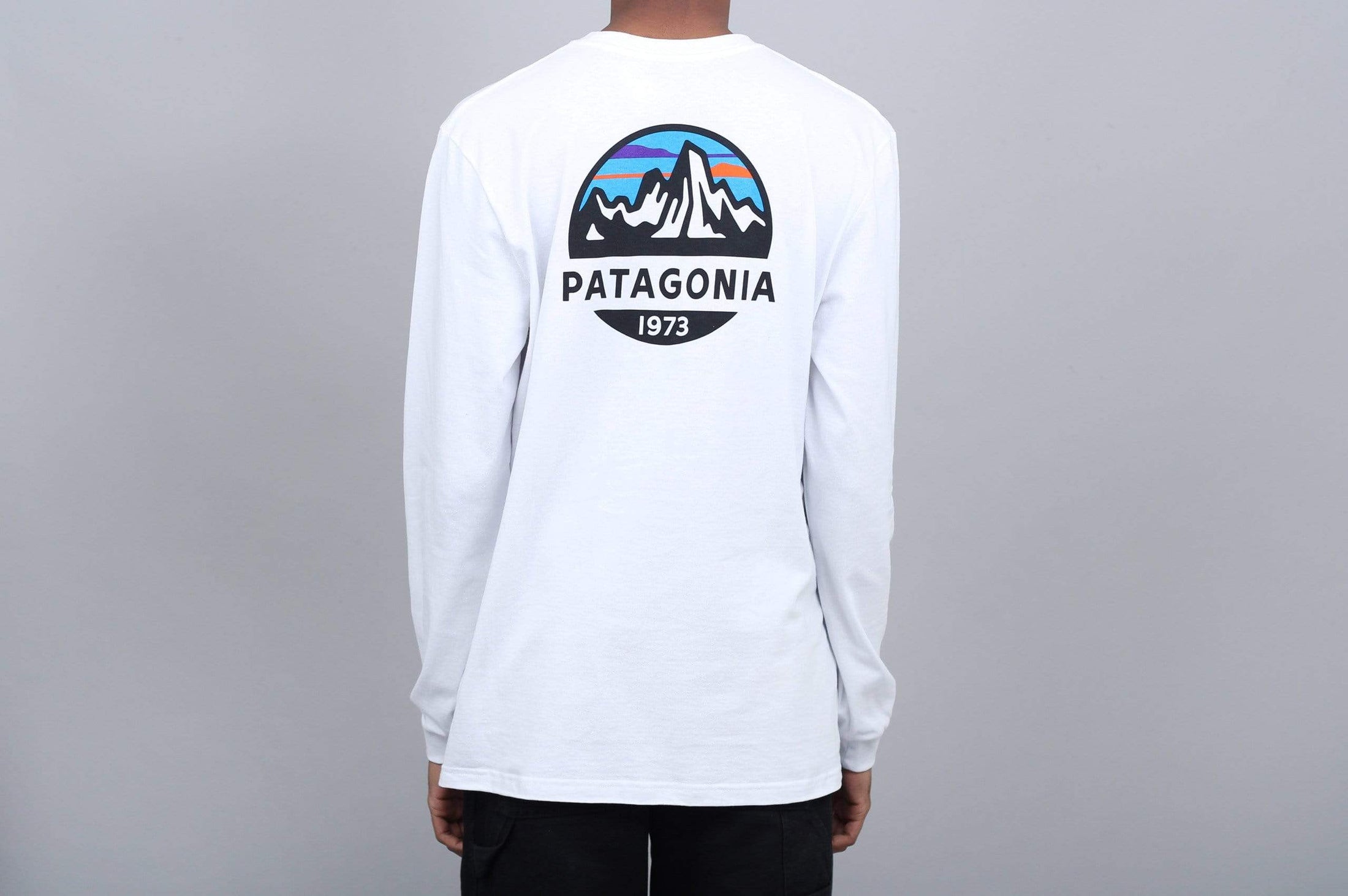 Patagonia Fitz Roy Scope Responsibili Longsleeve T-Shirt White