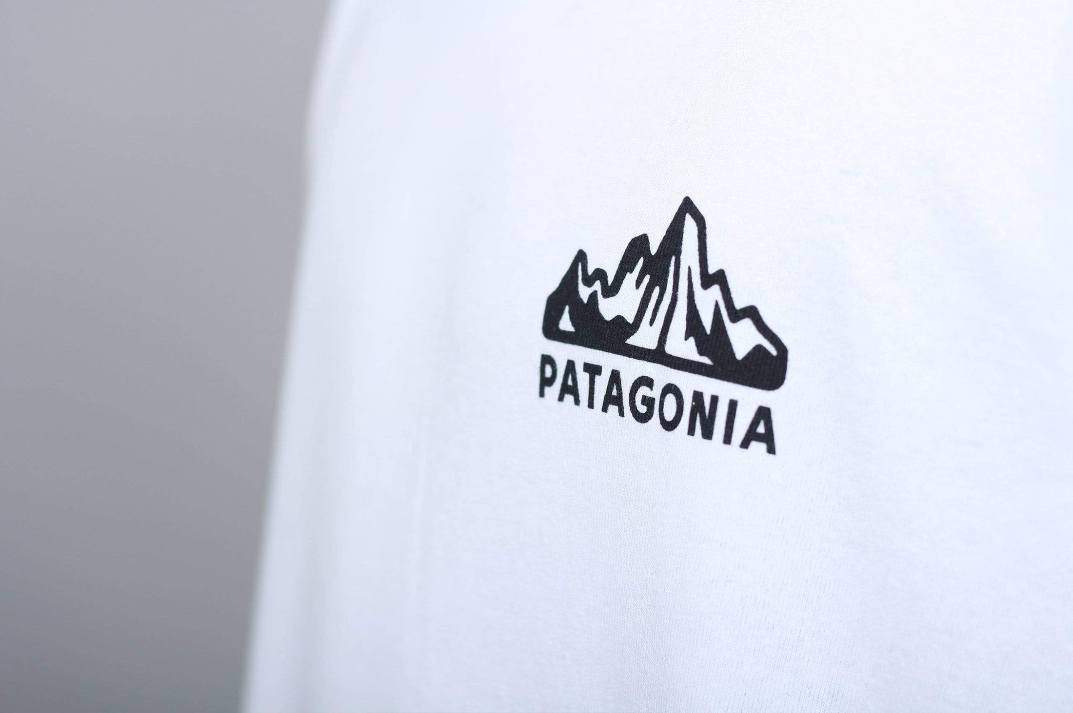 Patagonia Fitz Roy Scope Responsibili Longsleeve T-Shirt White