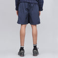 Load image into Gallery viewer, Pop Trading Painter Shorts Navy
